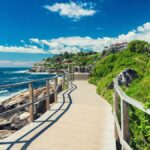 Sydney: Bondi to Coogee Hike with picnic lunch at Coogee - The Final Destination: Coogee Beach & Picnic Lunch
