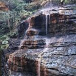 Sydney: English or German Private Blue Mountains Tour - A Few Considerations