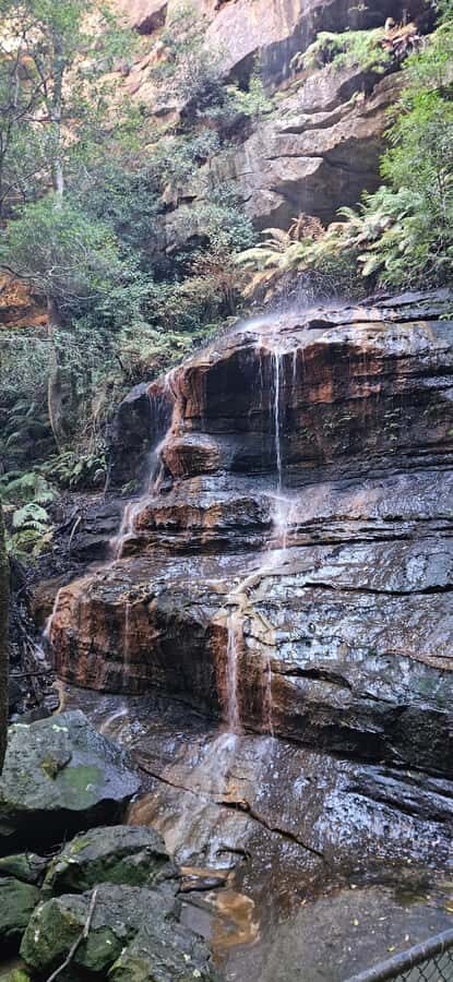 Sydney: English or German Private Blue Mountains Tour - A Few Considerations