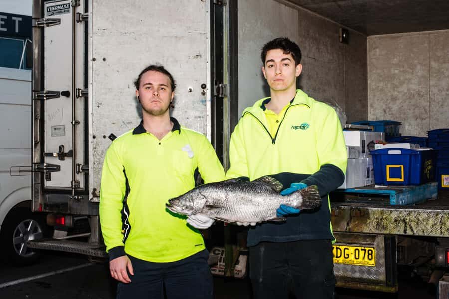 Sydney Fish Market Discovery Tour - What to Expect from the Sydney Fish Market Discovery Tour