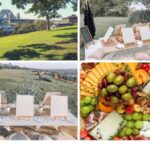 Sydney: Guided Hike with Picnic Lunch and Painting Session - Unleash Your Creativity: The Painting Session