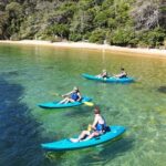 Sydney: Guided Kayak Taster Tour from Manly - Authentic Reviews and Insights