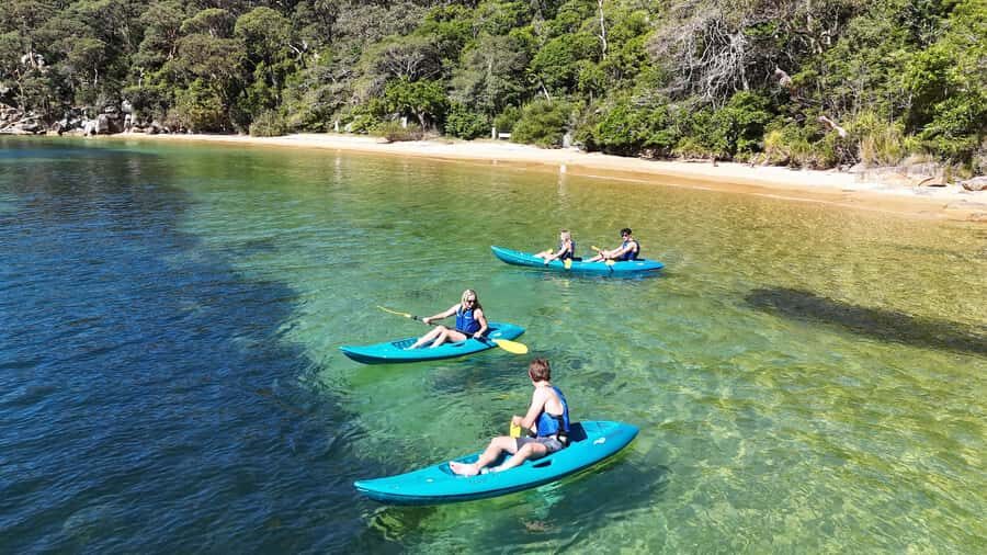 Sydney: Guided Kayak Taster Tour from Manly - Authentic Reviews and Insights