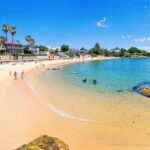 Sydney Harbour & Bondi: Morning Highlights with Breakfast - Why This Tour Offers Good Value