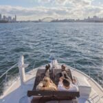 Sydney Harbour: Luxury Multi-Stop Lunch Cruise - An In-Depth Look at the Sydney Harbour Luxury Lunch Cruise