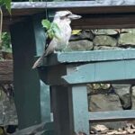 Sydney: Harbour Views & Hidden Histories Walking Tour - Who Would Love This Tour?