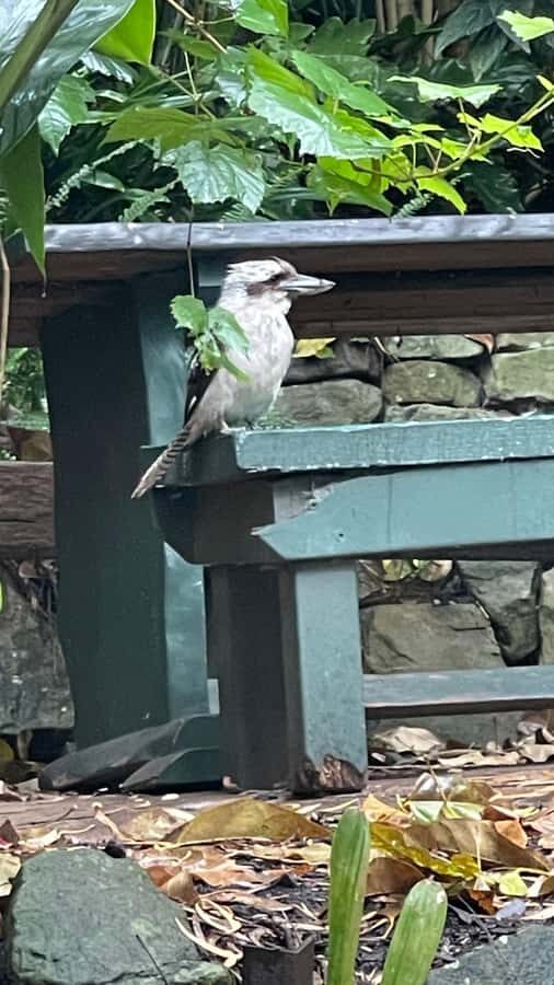 Sydney: Harbour Views & Hidden Histories Walking Tour - Who Would Love This Tour?