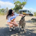 Sydney: Jervis Bay & South Coast Small Group Wild Kangaroos - Who Will Love This Tour?