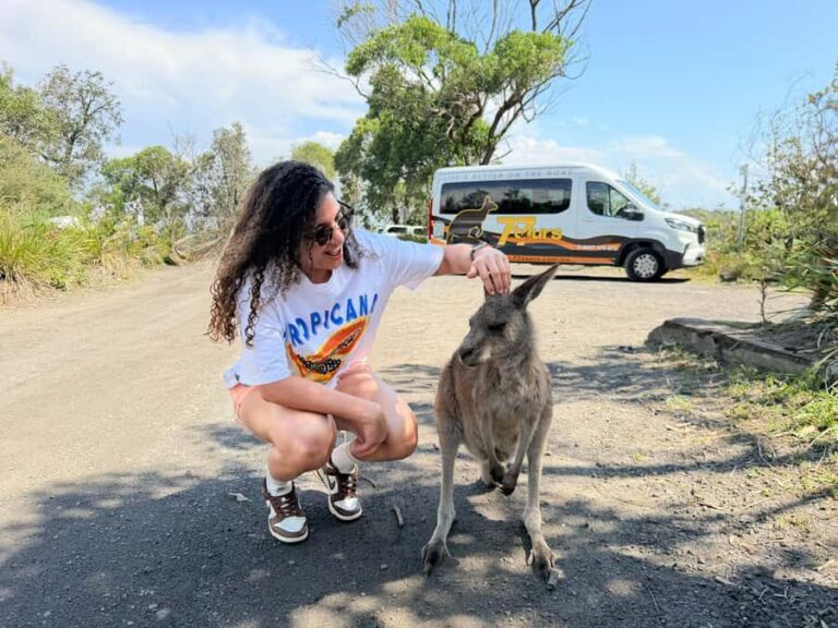 Sydney: Jervis Bay & South Coast Small Group Wild Kangaroos - Who Will Love This Tour?