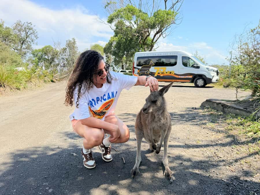 Sydney: Jervis Bay & South Coast Small Group Wild Kangaroos - Who Will Love This Tour?