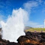 Sydney: Kiama Costal Private Day Tour with Local Experiences - The Value of This Experience