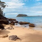 Sydney: Ku-ring-gai Chase National Park with Hike, Swim, Picnic - A Closer Look at the Itinerary: What to Expect