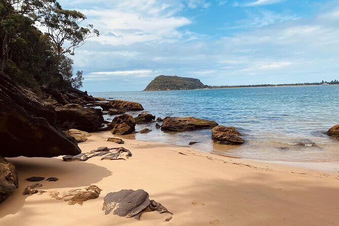 Sydney: Ku-ring-gai Chase National Park with Hike, Swim, Picnic - A Closer Look at the Itinerary: What to Expect