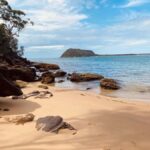 Sydney: Ku-ring-gai National Park with swim and picnic - Pricing and Value