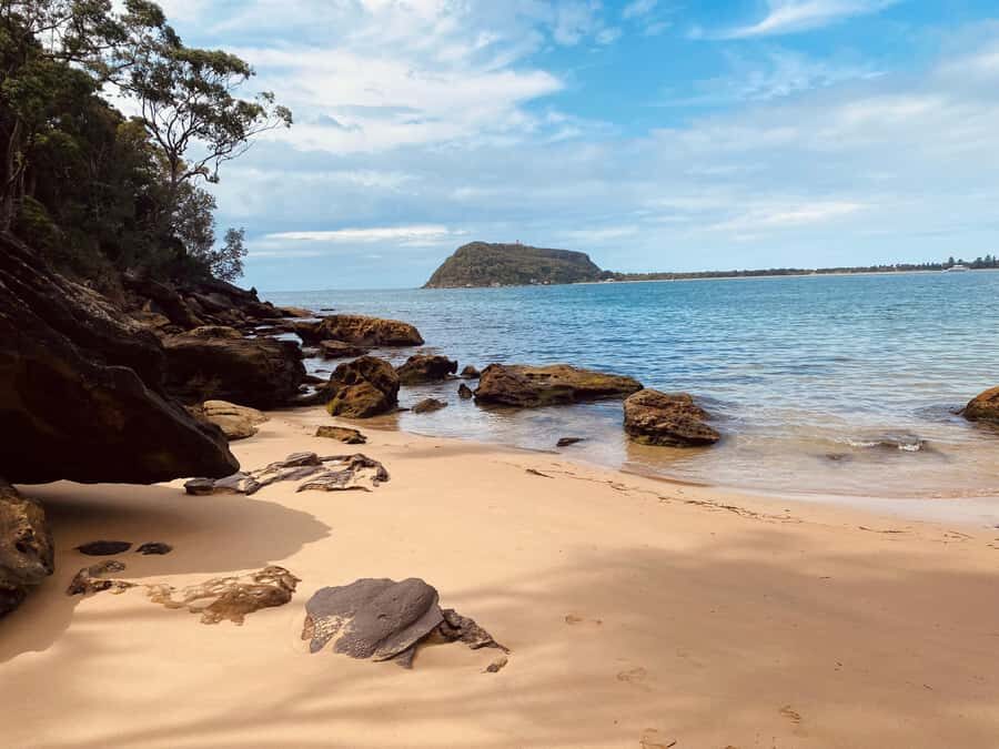 Sydney: Ku-ring-gai National Park with swim and picnic - Pricing and Value