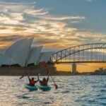 Sydney LED Lit Kayak Tour of the Opera House and Bridge - The Itinerary: What You Can Expect