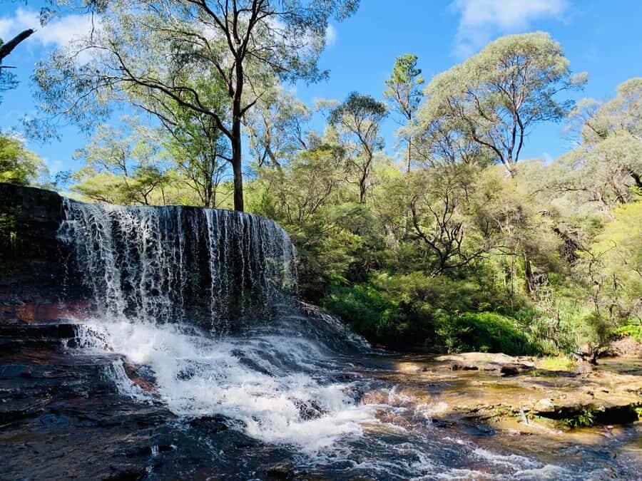 Sydney: Luxury Blue Mountains Adventure with Wentworth Falls - An in-depth look at the Blue Mountains luxury experience