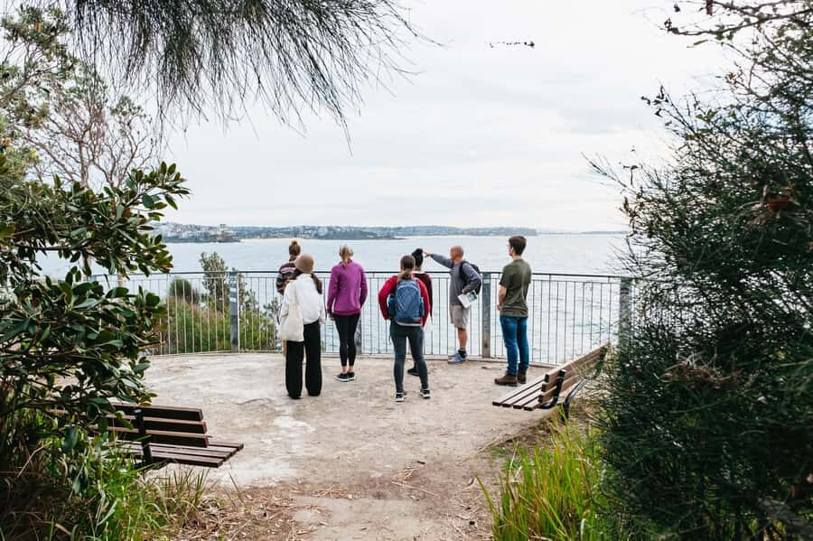 Sydney: Manly and Shelly Beach Snorkeling Tour - Why This Tour Is a Great Choice