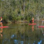 Sydney: Narrabeen Lagoon SUP Tour with Instructor - Detailed Review of the Narrabeen Lagoon SUP Tour