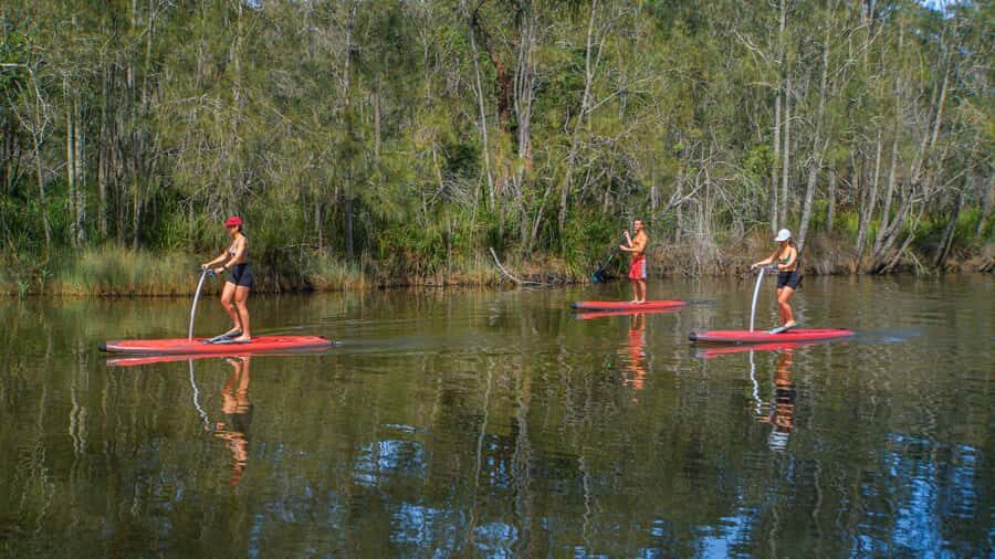 Sydney: Narrabeen Lagoon SUP Tour with Instructor - Detailed Review of the Narrabeen Lagoon SUP Tour
