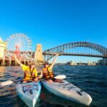 Sydney: Opera & Harbour Bridge Small-Group Kayak Tour - The Itinerary: What to Expect