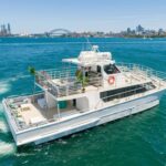 Sydney: Premium Catamaran Vivid Cruise with Welcome Drink - Detailed Breakdown of the Experience
