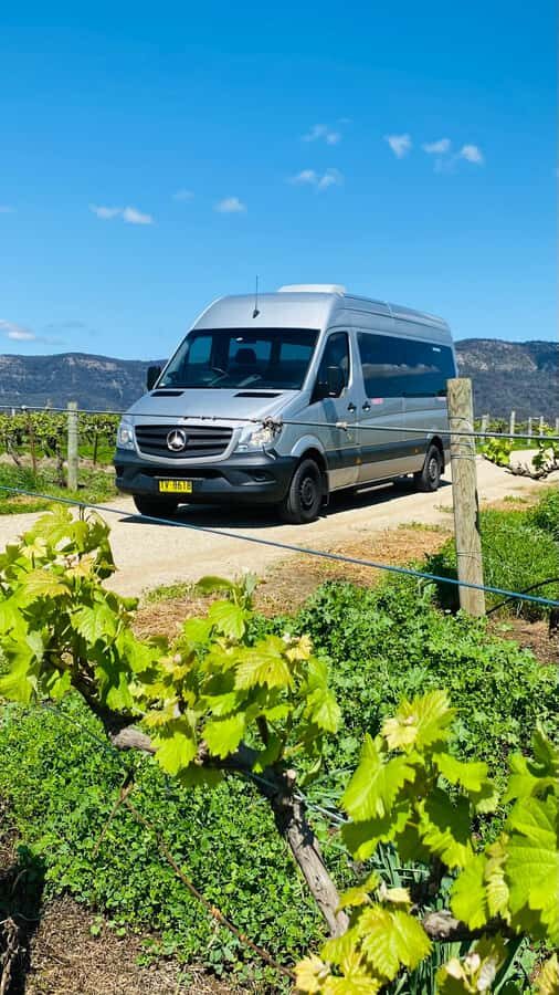 Sydney: Private Hunter Valley Premium Wine Tasting Luxe Tour - Discovering the Hunter Valley: An Authentic Australian Wine Region