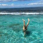 Sydney: Royal National Park Day Trip with Picnic and Swim - What’s Included and What’s Not