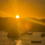 Sydney: Scenic Ferry & Sunset Experience in Watsons Bay - Exploring Sydney’s Coastal Highlights