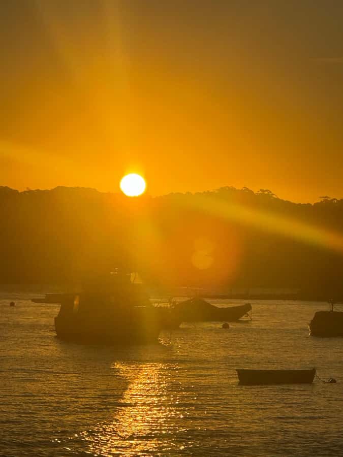 Sydney: Scenic Ferry & Sunset Experience in Watsons Bay - Exploring Sydney’s Coastal Highlights