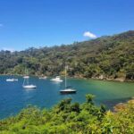 Sydney: Taronga zoo to Balmoral Walk with Ala carte Lunch - Final Thoughts