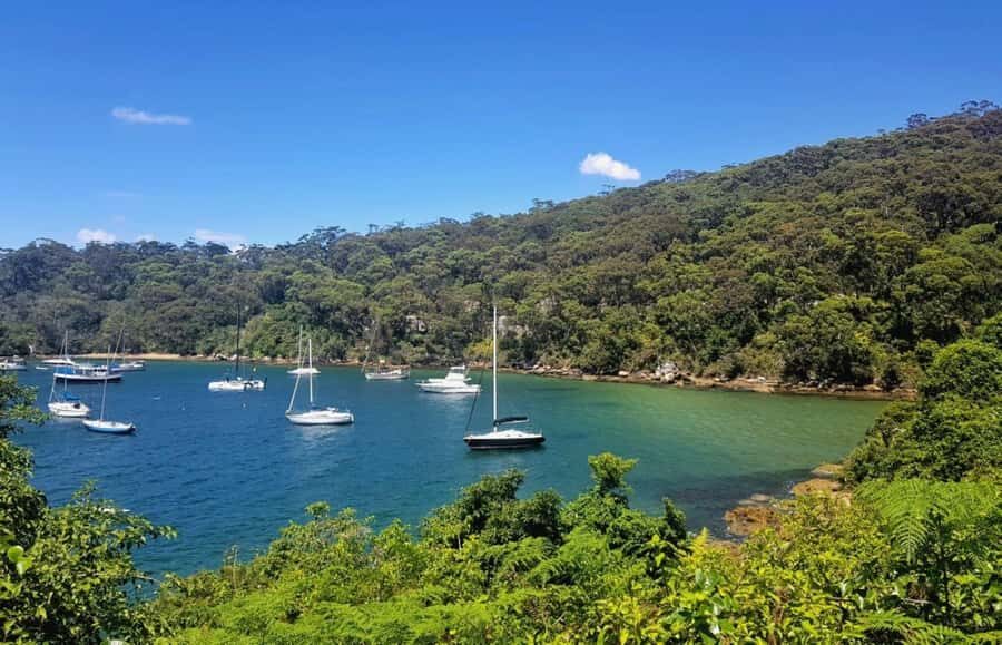 Sydney: Taronga zoo to Balmoral Walk with Ala carte Lunch - Final Thoughts