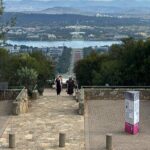 Sydney to Canberra Private Transfer With Chauffeur Driven Cars - Final Thoughts: Is It Worth It?