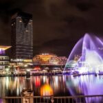 Sydney: Vivid Festival of Light Harbor Cruise with Dinner - What Makes This Tour Special