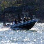 Sydney Whale Watching on Small RIB - Why This Tour Offers Great Value