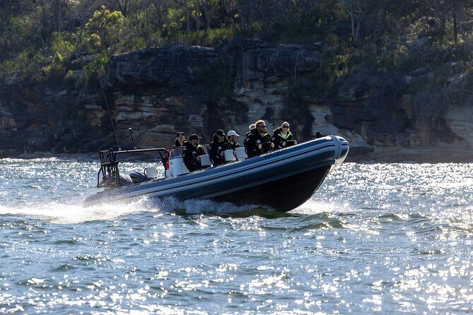 Sydney Whale Watching on Small RIB - Why This Tour Offers Great Value