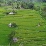 Tabanan Bali: Mount Batukaru Sunrise Treking Tektok - Who Will Love This Tour?