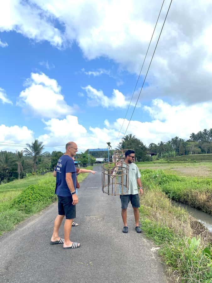 Tabanan: Belimbing Rice Terrace Trekking & Local Life Tour - An Overview of the Tour Experience