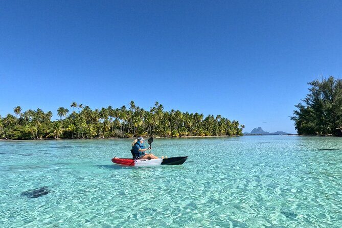 Tahaa: Kayaking Rental - Coral Garden - Snorkeling - Authentic Experiences and Traveler Insights