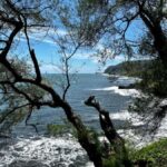 Tahiti: East or West coast tour (Half Day) - Who Will Love This Tour?