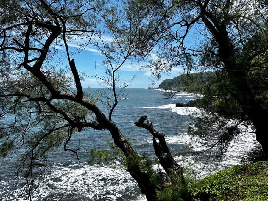 Tahiti: East or West coast tour (Half Day) - Who Will Love This Tour?