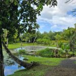 Tahiti Full Day Private Coastal Tour - Who Should Consider This Tour?