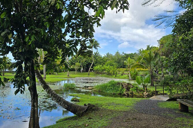 Tahiti Full Day Private Coastal Tour - Who Should Consider This Tour?