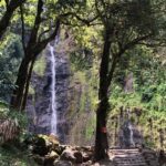 Tahiti : Tour de l'ile complet (Full Day) avec Presqu'île - An In-Depth Look at the Tour Experience