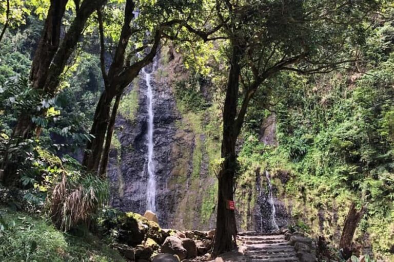 Tahiti : Tour de l'ile complet (Full Day) avec Presqu'île - An In-Depth Look at the Tour Experience