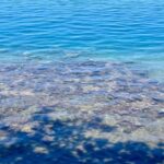 Tahiti : Tour de lîle Côte Est et Côte Ouest (Full Day) - In Summary: Why Choose This Tour?