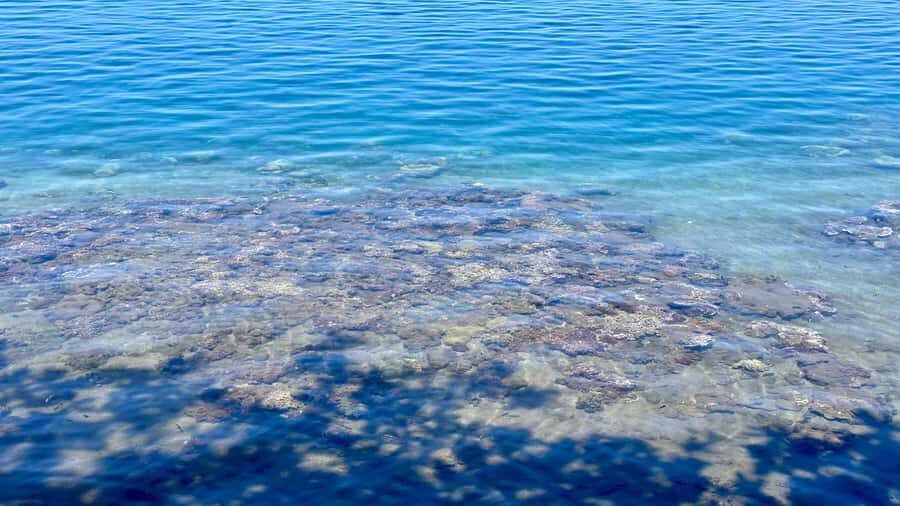 Tahiti : Tour de lîle Côte Est et Côte Ouest (Full Day) - In Summary: Why Choose This Tour?