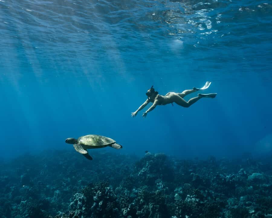 Tahiti underwater photo experience - Exploring the Tahiti Underwater Photo Experience: What You Can Expect