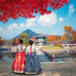 Tailored Private Tour from Seoul - What to Expect: Transportation, Guides, and Timing