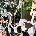 Tailored private Walking Tour in Kamakura with a Local Guide - Detailed Breakdown of the Itinerary